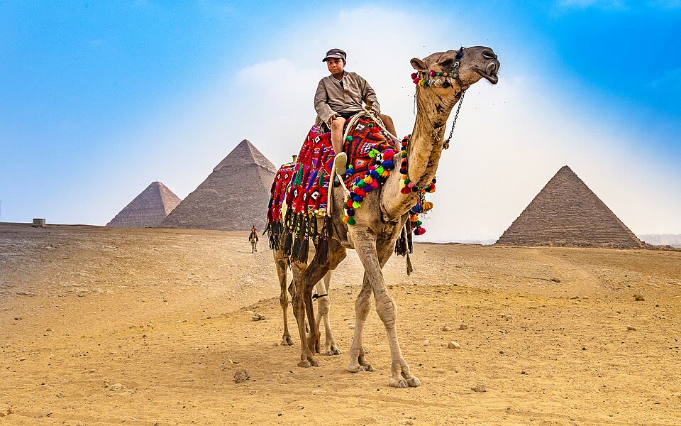 A camel ride, Giza