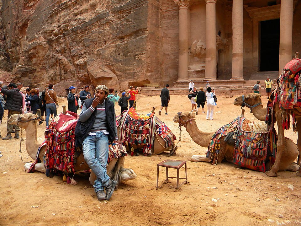 Camels waiting at the Treasury